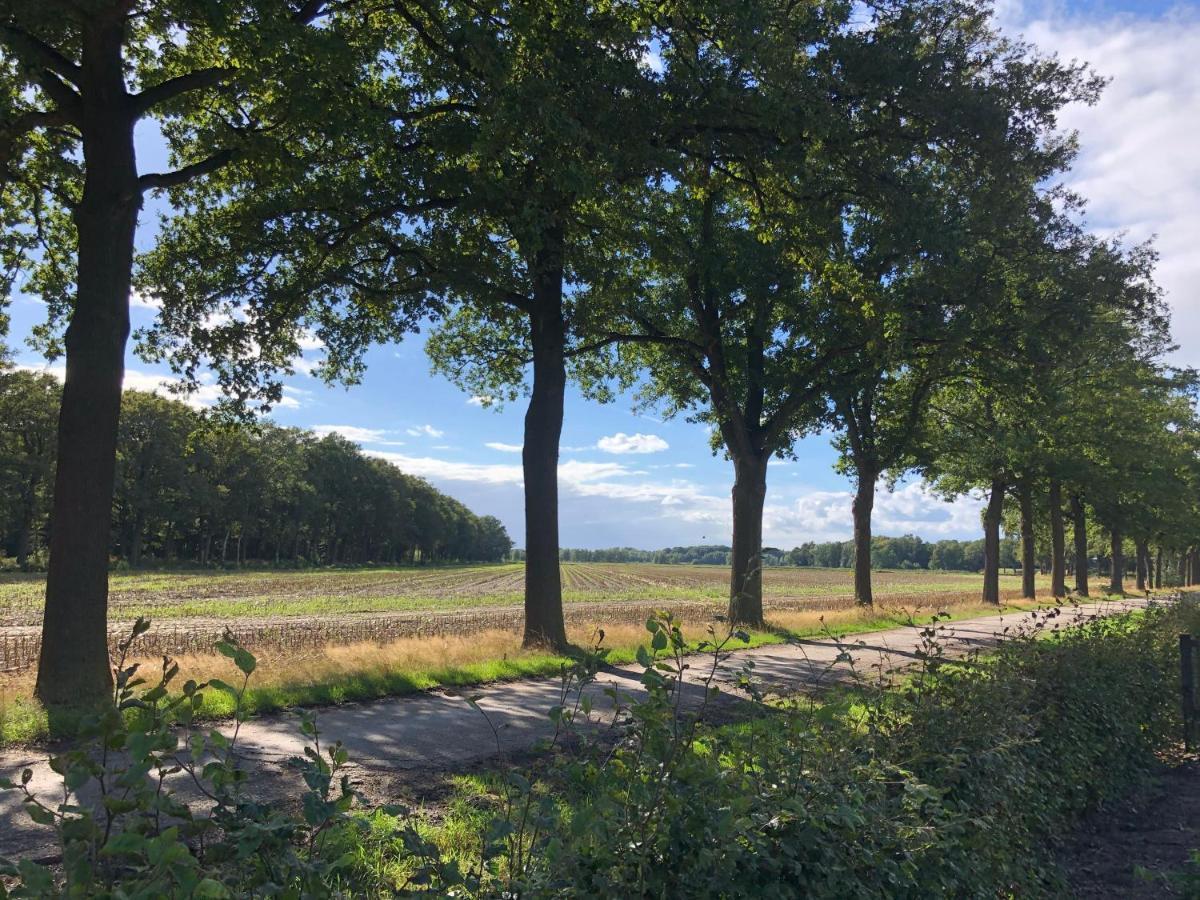 Mysa Bed and Breakfast Deurne Esterno foto